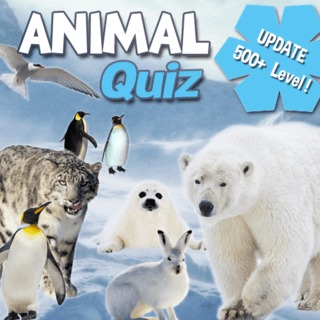 Animal Quiz — cover
